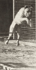 Plate 712 'Dread' jumping hurdle — figure reference